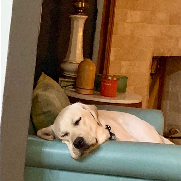 Other - New sidekick trip to the lake ....